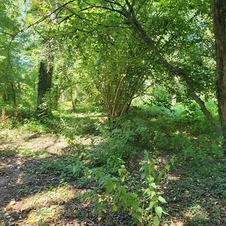 度假居 Markets & Meadows Retreat *