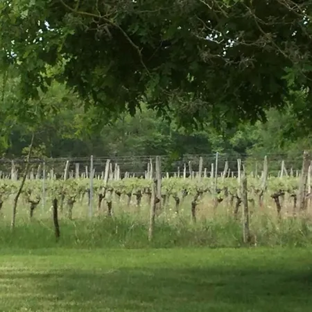 Markets & Meadows Retreat *