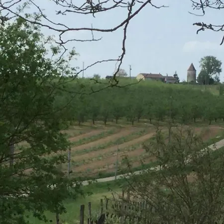 Markets & Meadows Retreat