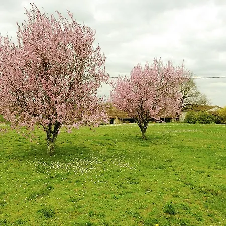度假居 Markets & Meadows Retreat