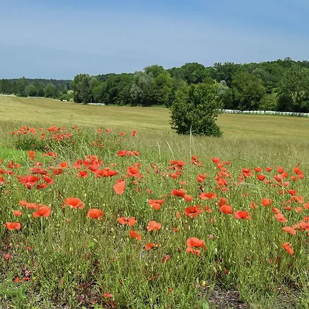 Markets & Meadows Retreat *