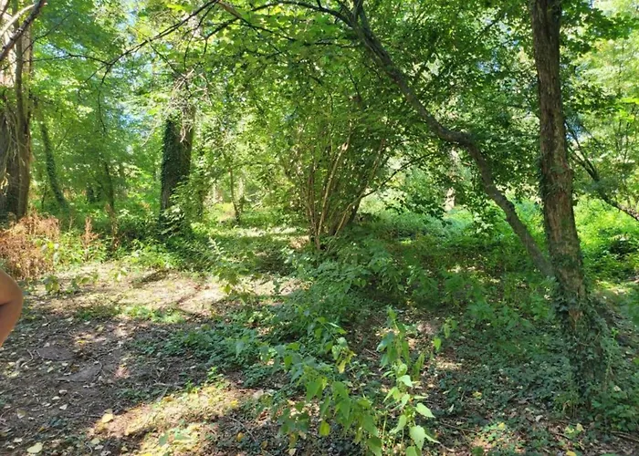 Hébergement de vacances Markets & Meadows Retreat *