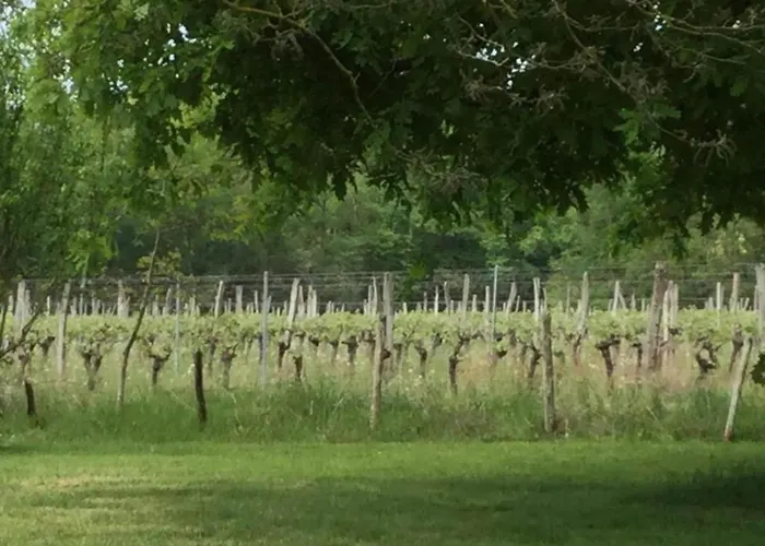 Markets & Meadows Retreat *