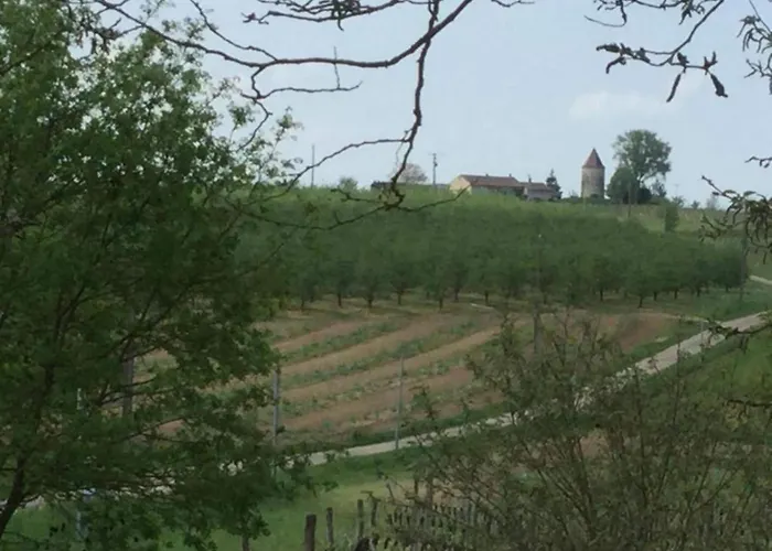 Markets & Meadows Retreat