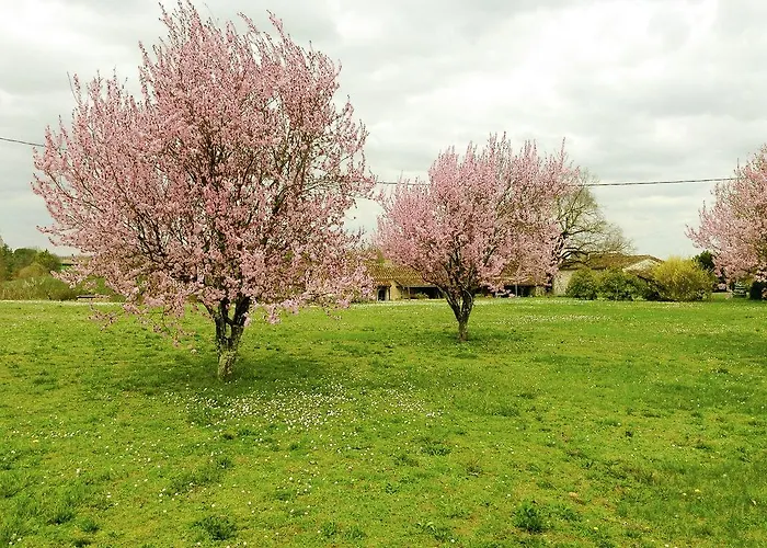 Hébergement de vacances Markets & Meadows Retreat