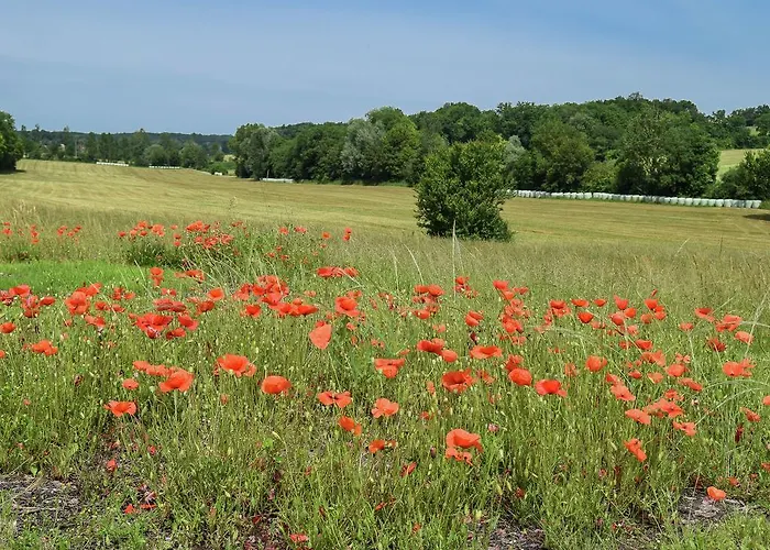 Markets & Meadows Retreat *